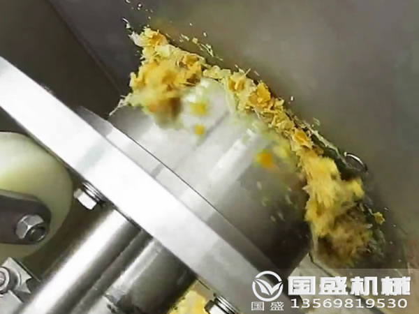 柑橘压榨机 柑橘压榨机
