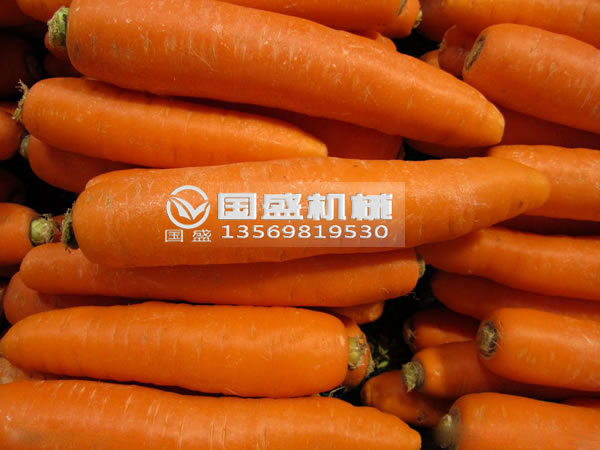 草莓视频正版免费观看胡萝卜脱水挤压机 草莓视频正版免费观看胡萝卜脱水挤压机