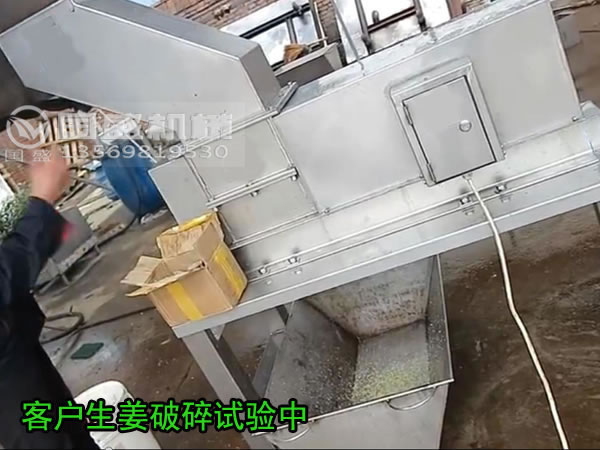 生姜破碎机 生姜破碎机