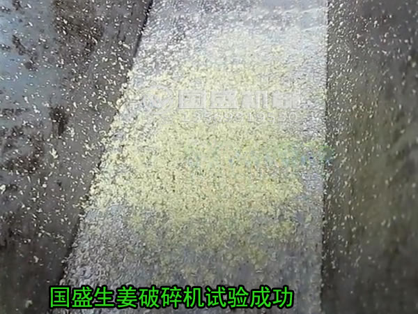粉碎姜的机器 粉碎姜的机器