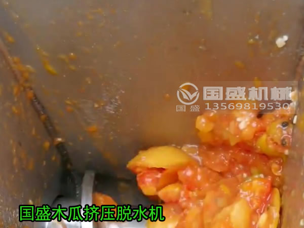木瓜压榨机 木瓜压榨机