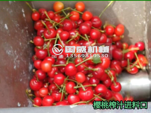 耐腐蚀不锈钢螺旋压榨机 耐腐蚀不锈钢螺旋压榨机