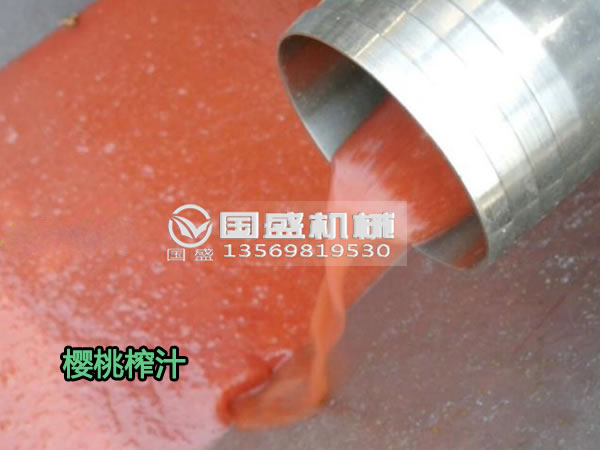 水果蔬菜螺旋压榨机 水果蔬菜螺旋压榨机
