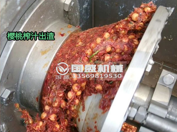 草莓视频正版免费观看樱桃螺旋压榨脱水机 草莓视频正版免费观看樱桃螺旋压榨脱水机